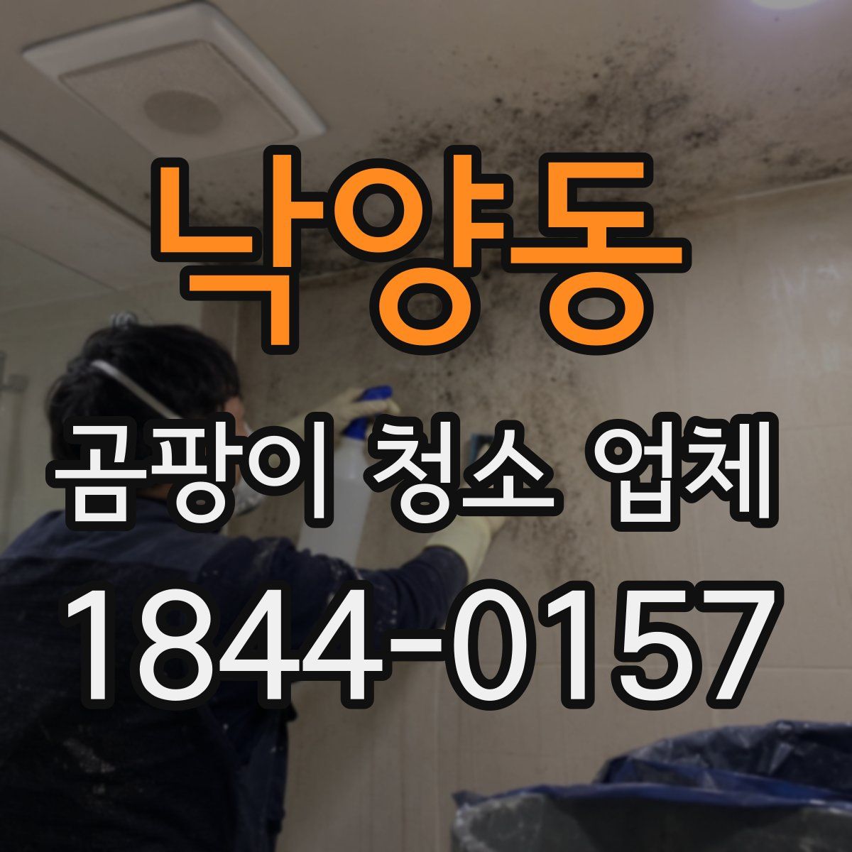 낙양동 곰팡이 청소 업체