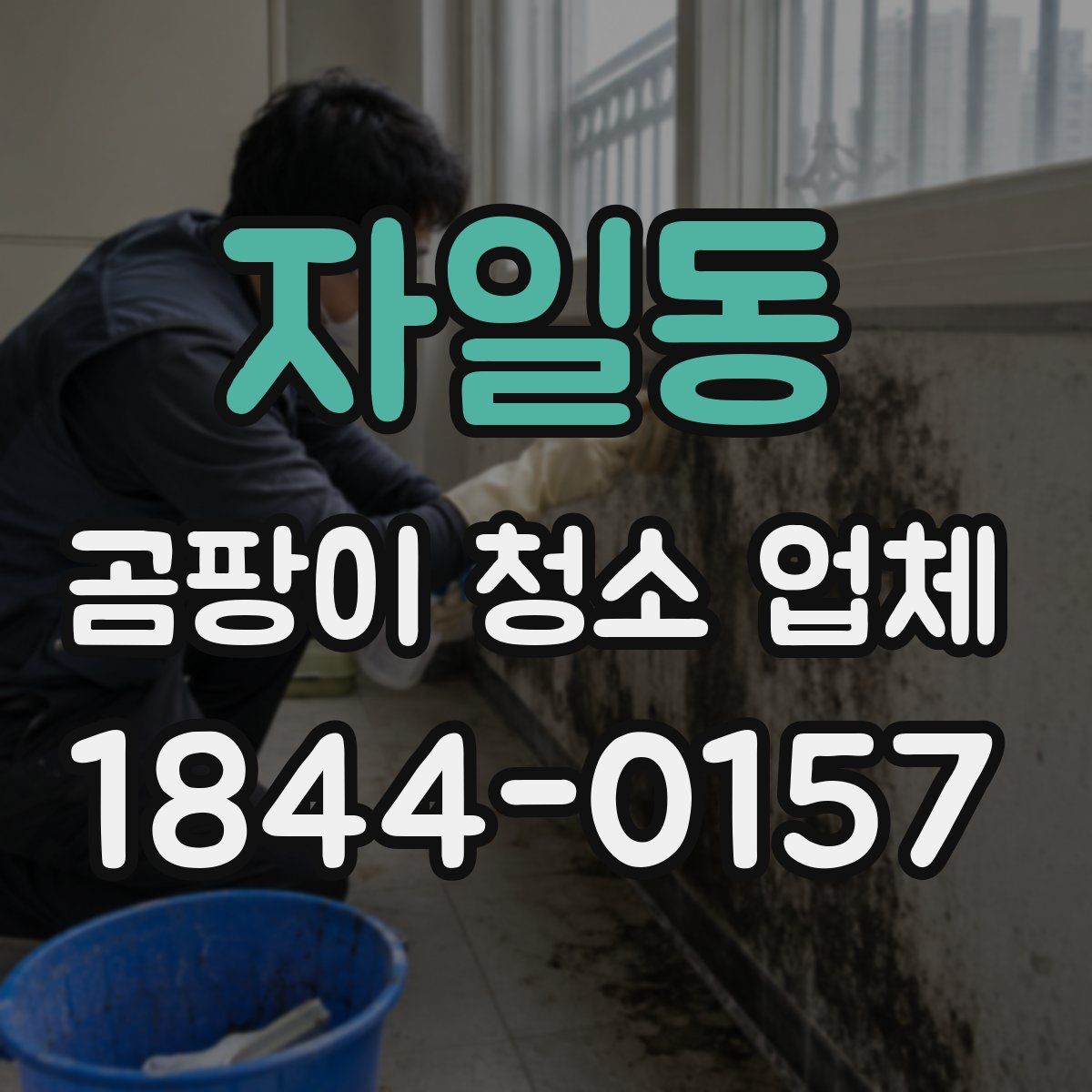 자일동 곰팡이 청소 업체