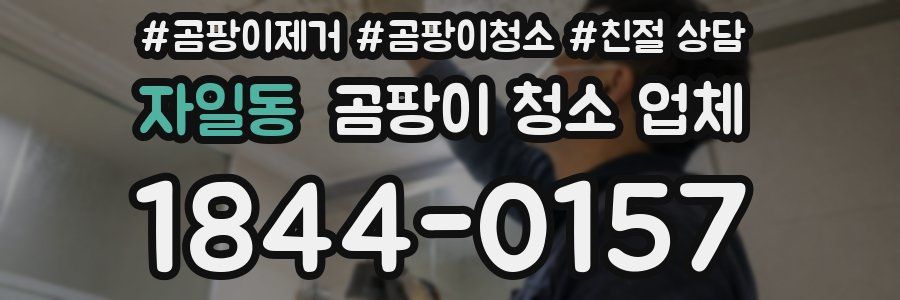 자일동 곰팡이 청소 업체