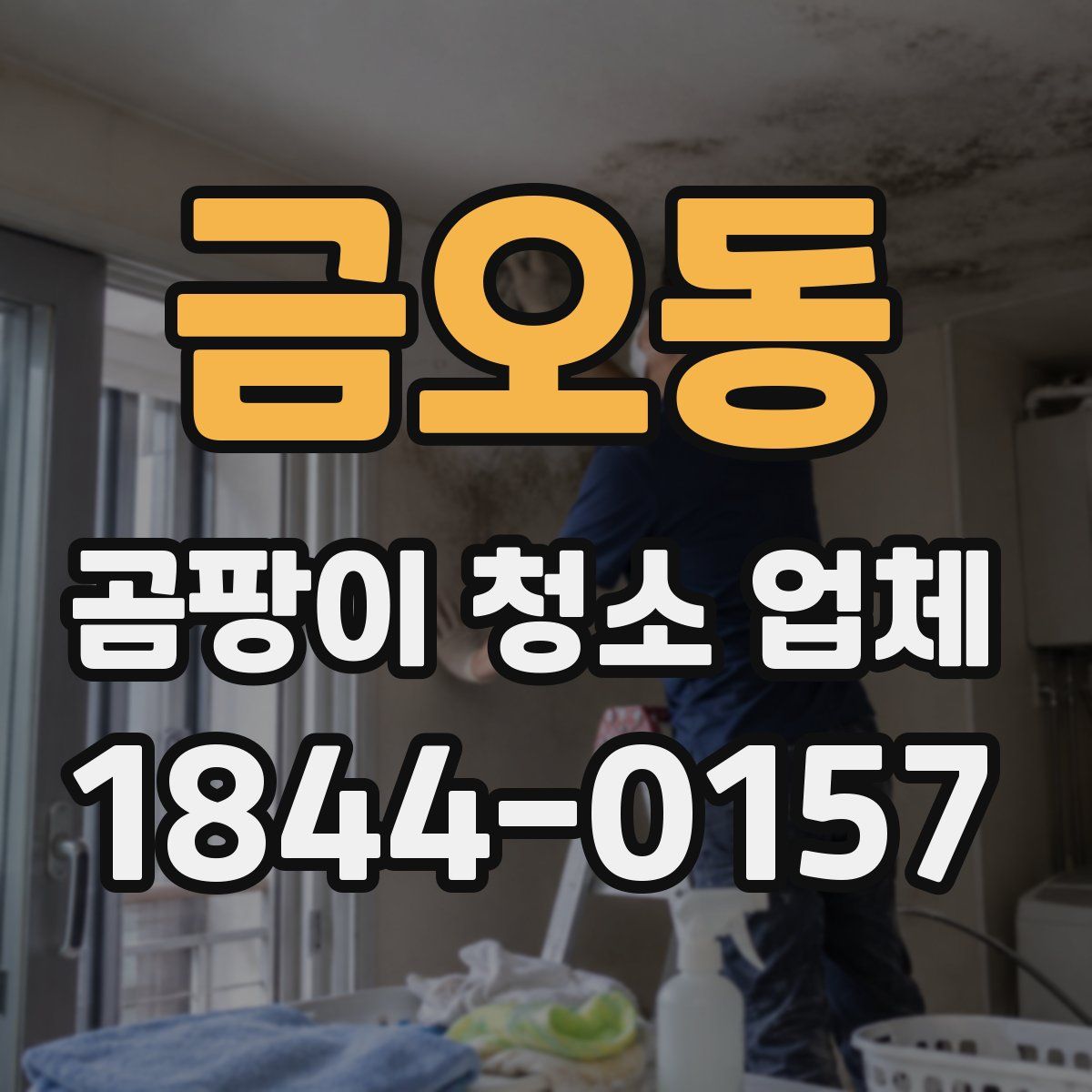 금오동 곰팡이 청소 업체