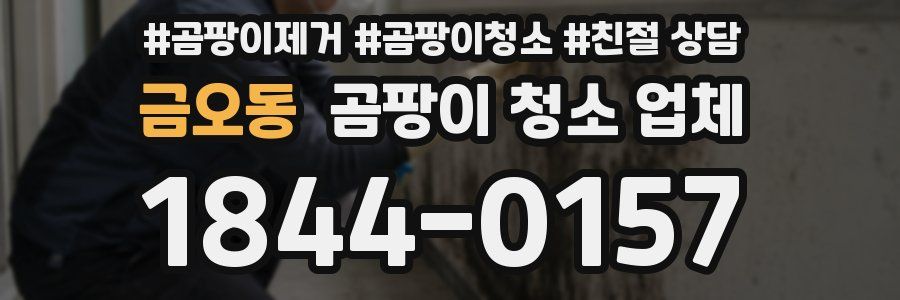 금오동 곰팡이 청소 업체