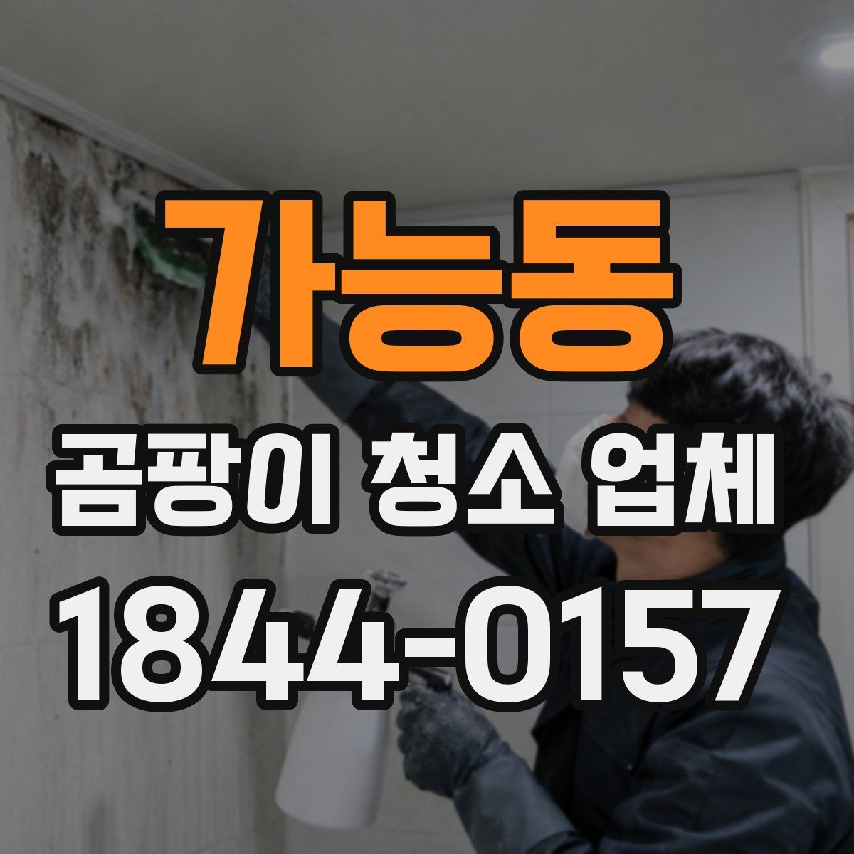 가능동 곰팡이 청소 업체