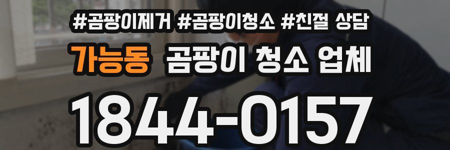 가능동 곰팡이 청소 업체