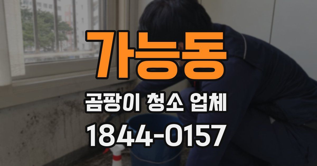 가능동 곰팡이 청소 업체