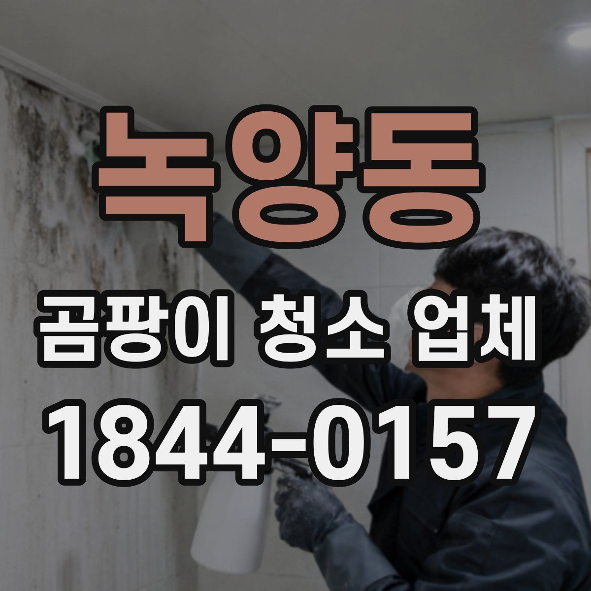 녹양동 곰팡이 청소 업체