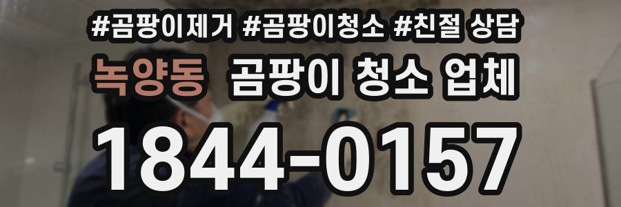 녹양동 곰팡이 청소 업체