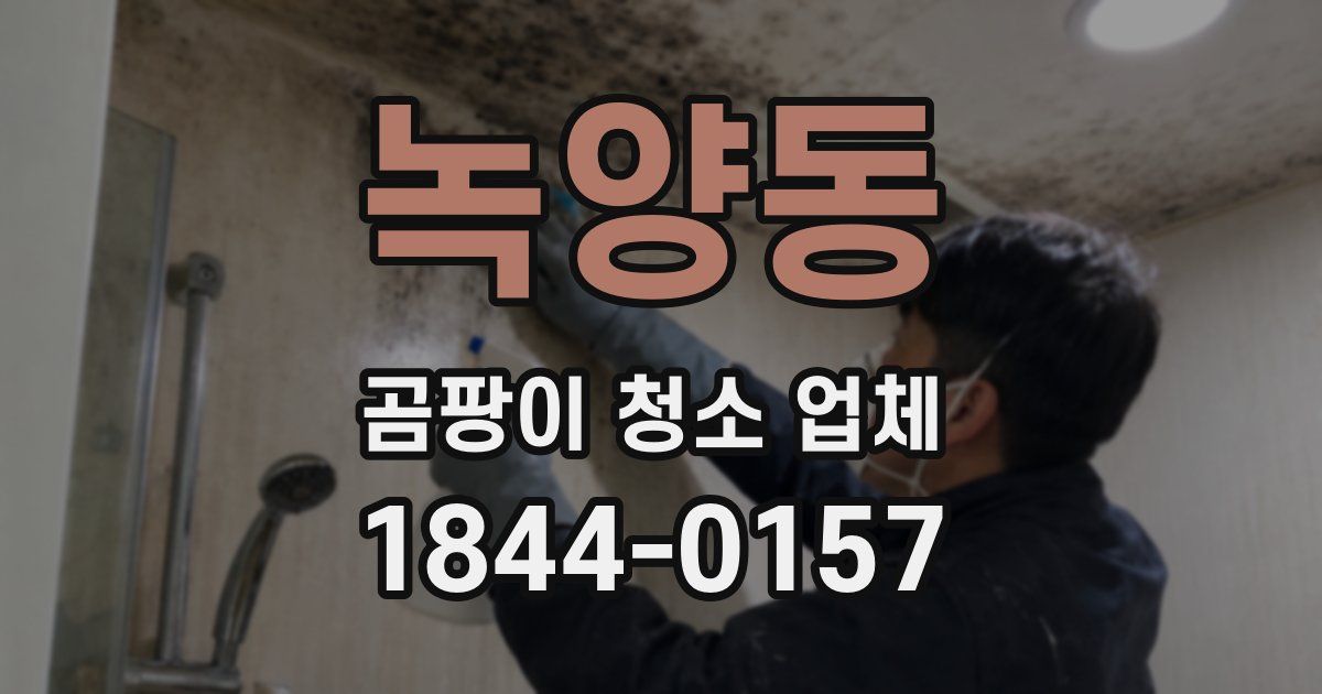 녹양동 곰팡이 청소 업체