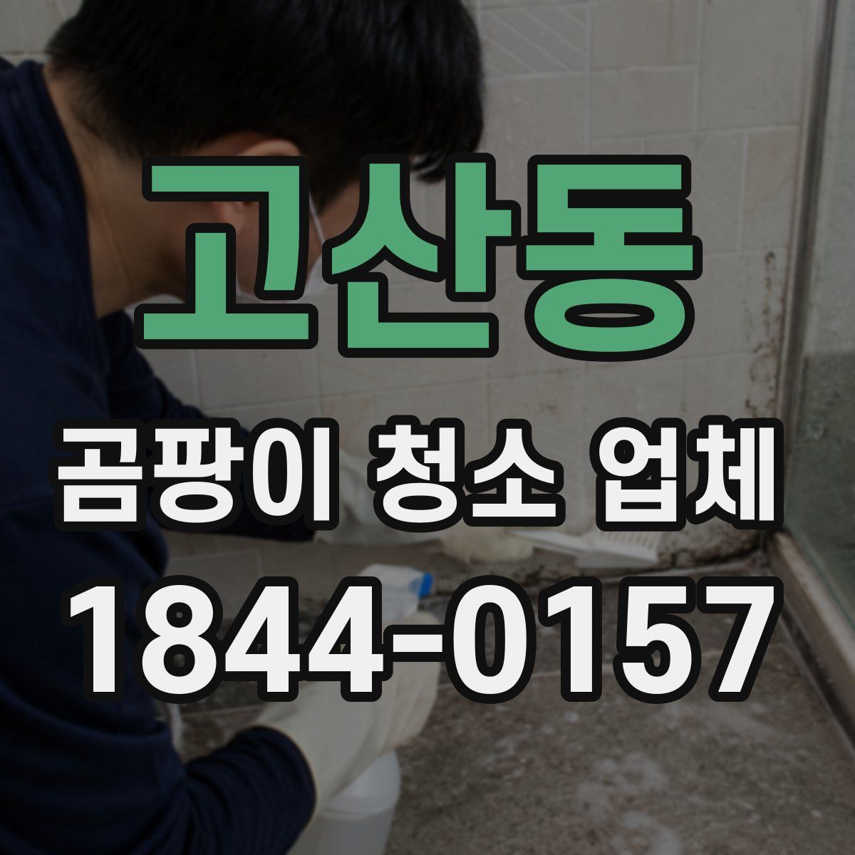 고산동 곰팡이 청소 업체