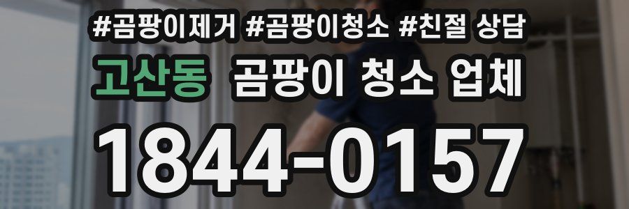 고산동 곰팡이 청소 업체