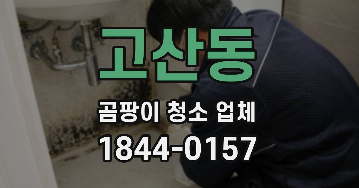 고산동 곰팡이 청소 업체