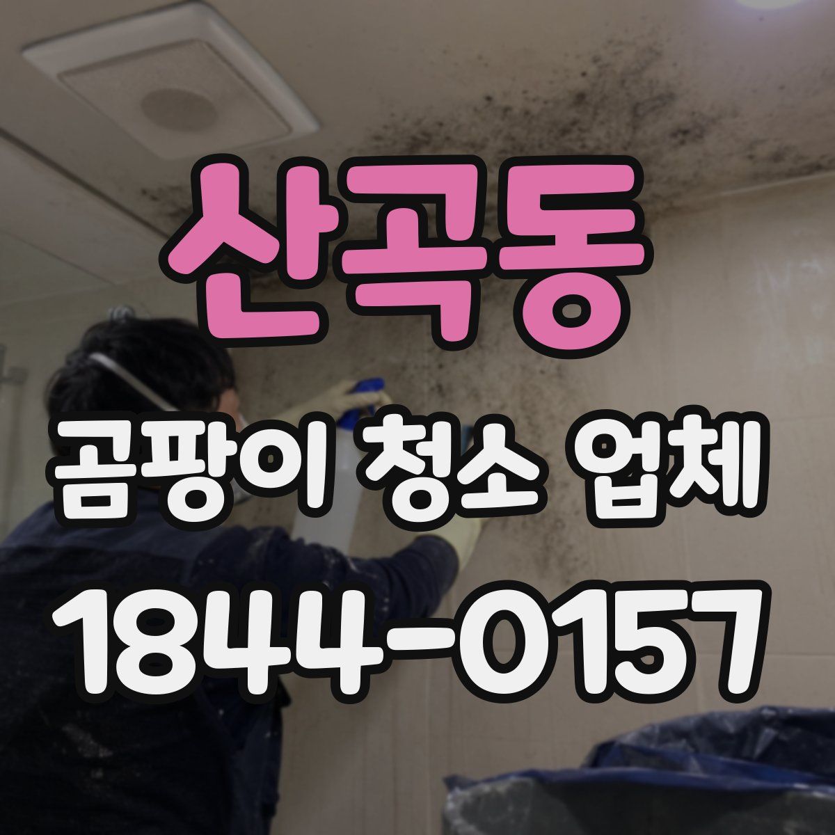 산곡동 곰팡이 청소 업체