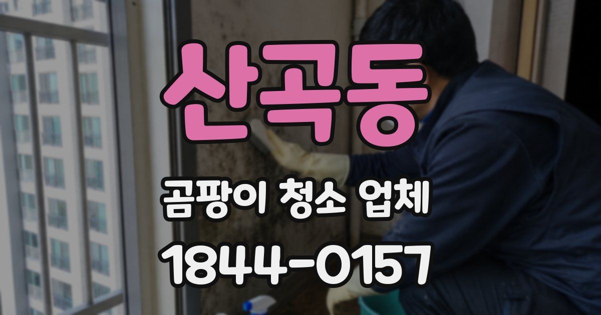 산곡동 곰팡이 청소 업체