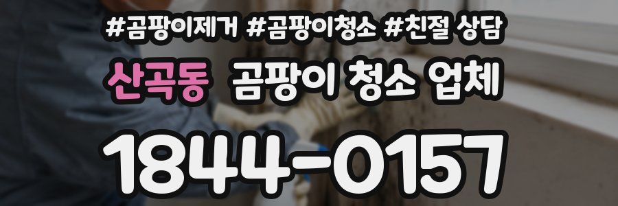 산곡동 곰팡이 청소 업체