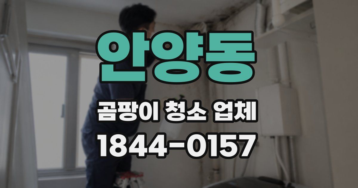 안양동 곰팡이 청소 업체