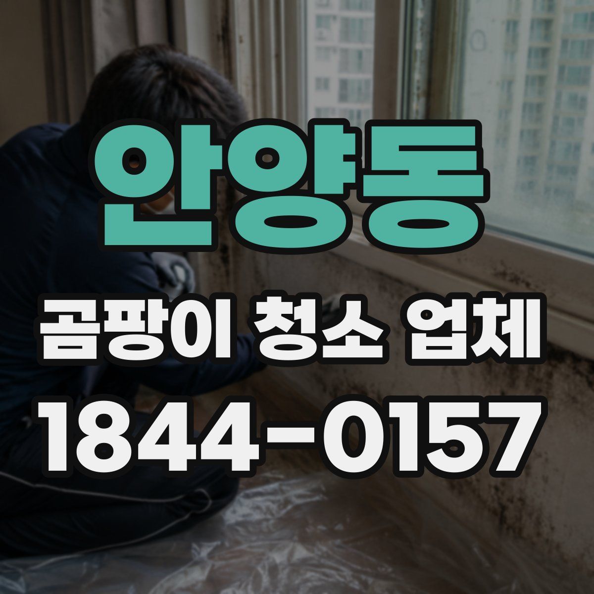 안양동 곰팡이 청소 업체