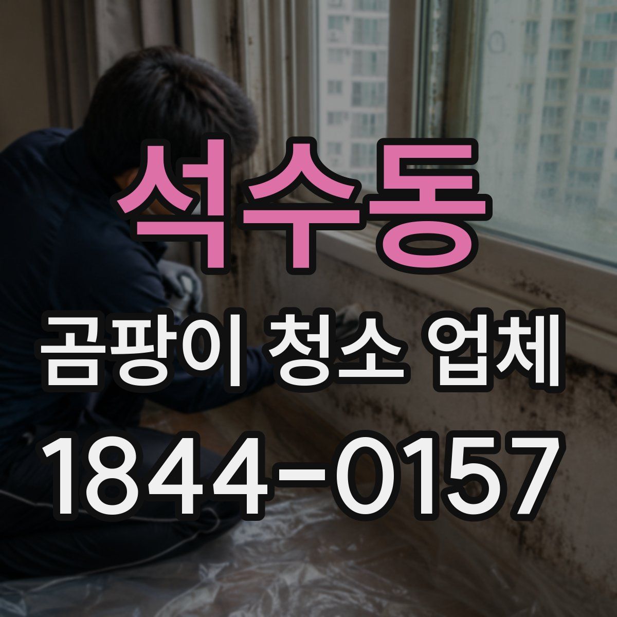 석수동 곰팡이 청소 업체