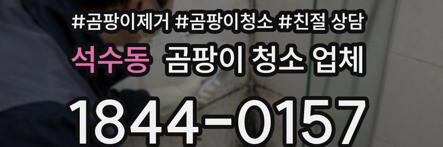 석수동 곰팡이 청소 업체