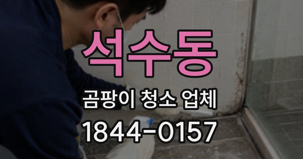 석수동 곰팡이 청소 업체