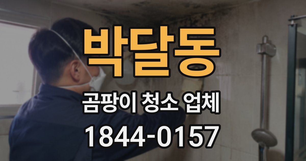 박달동 곰팡이 청소 업체