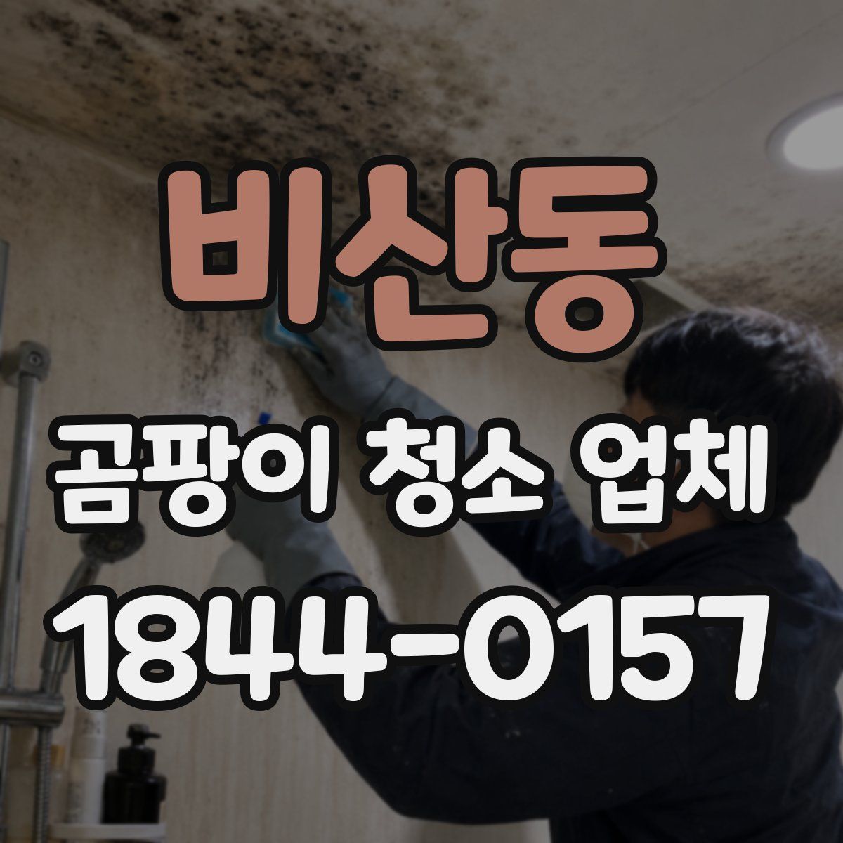 비산동 곰팡이 청소 업체