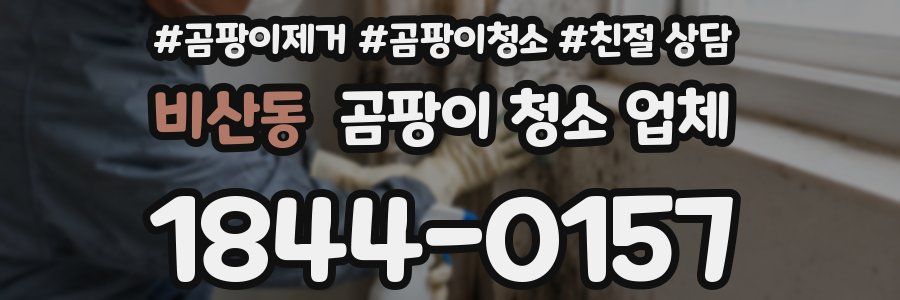 비산동 곰팡이 청소 업체