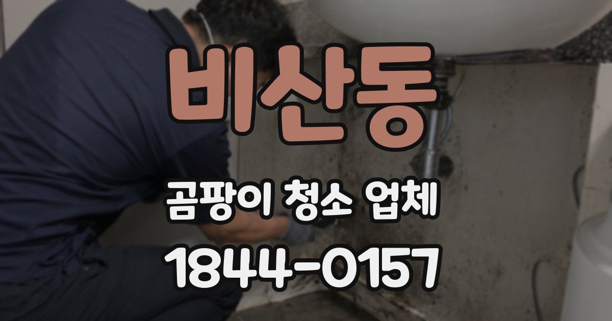 비산동 곰팡이 청소 업체