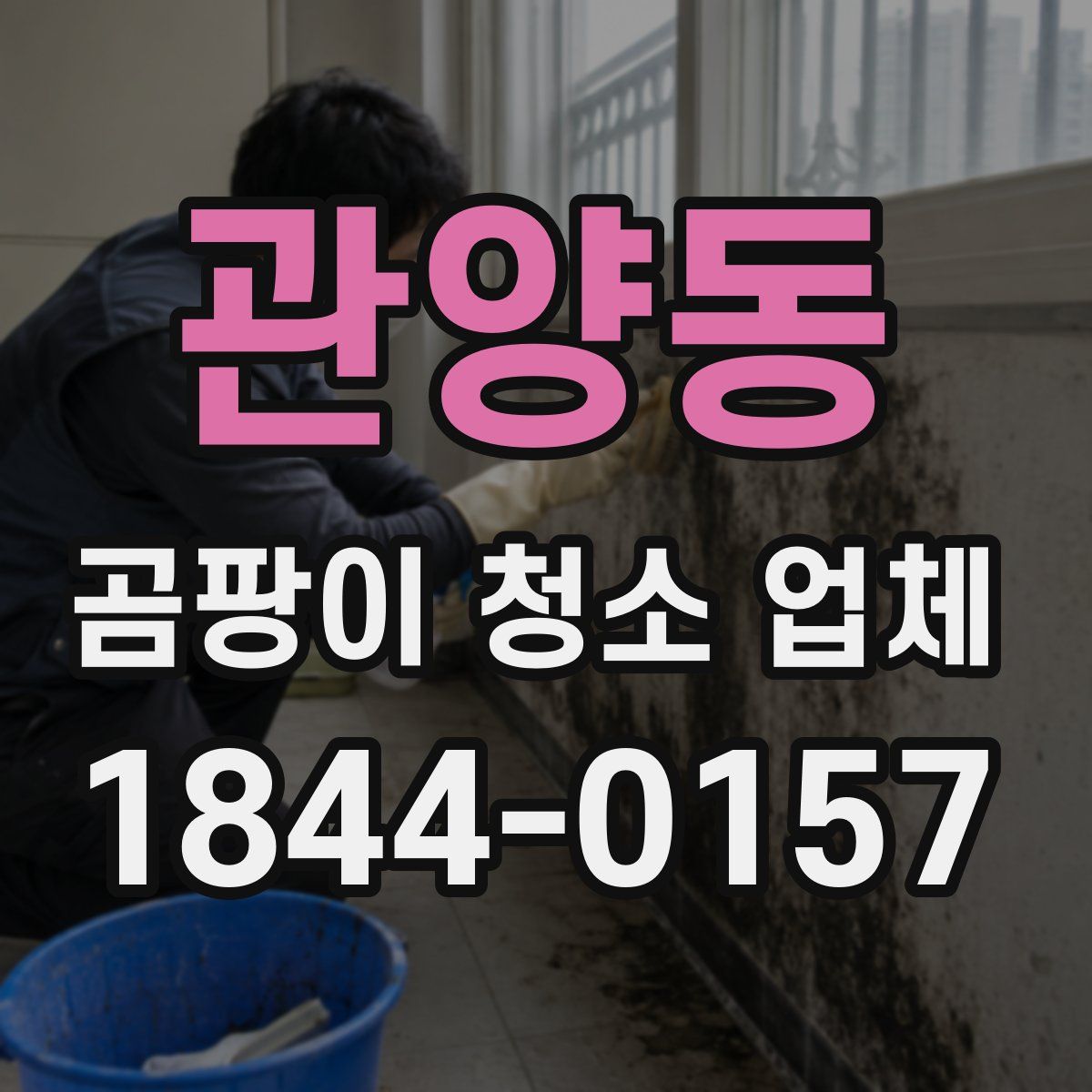 관양동 곰팡이 청소 업체