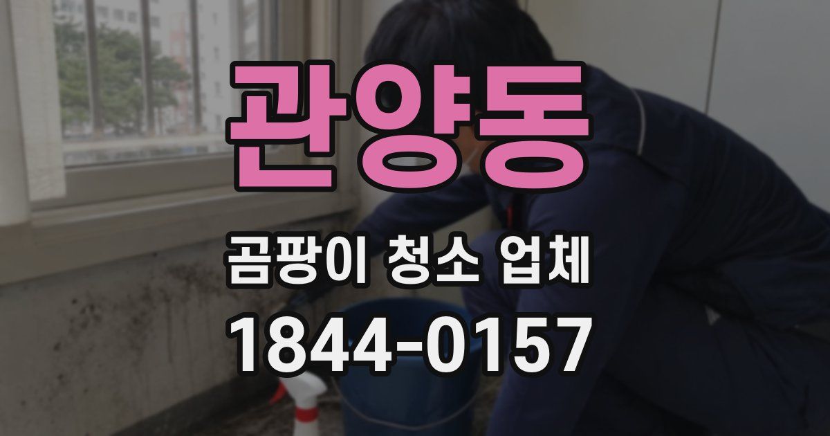 관양동 곰팡이 청소 업체