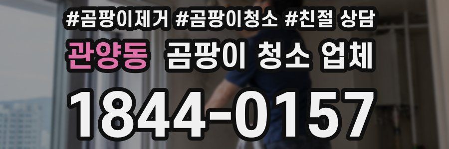 관양동 곰팡이 청소 업체