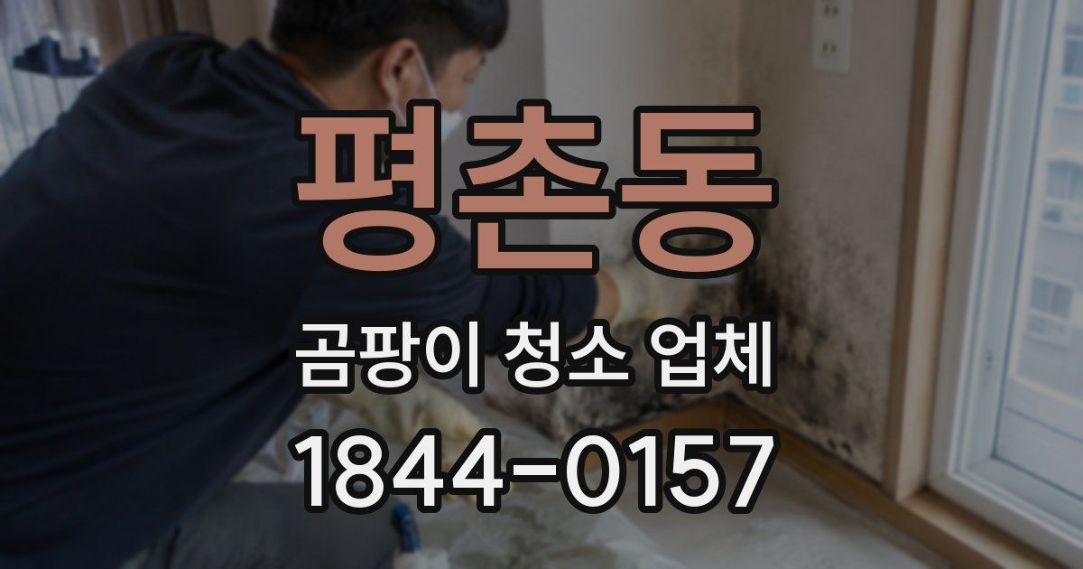 평촌동 곰팡이 청소 업체