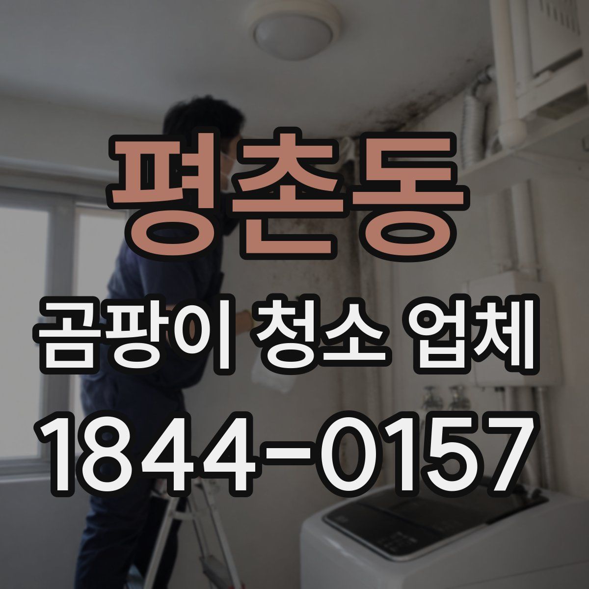 평촌동 곰팡이 청소 업체