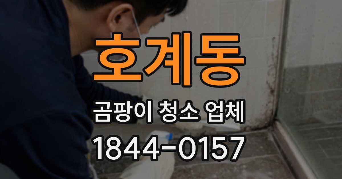 호계동 곰팡이 청소 업체