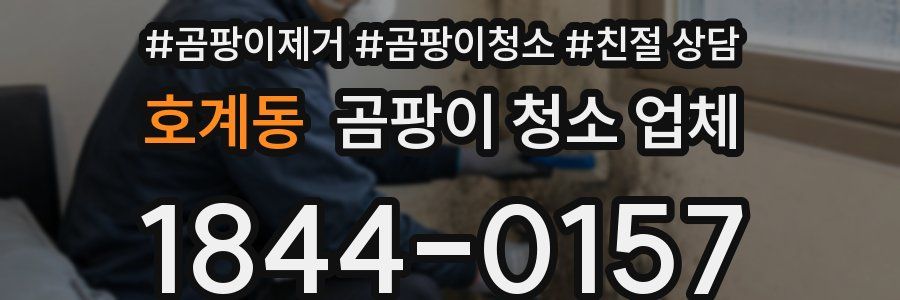 호계동 곰팡이 청소 업체