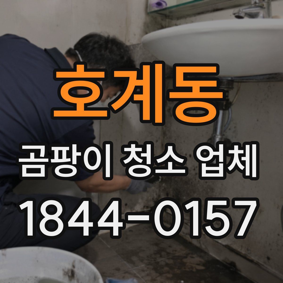 호계동 곰팡이 청소 업체