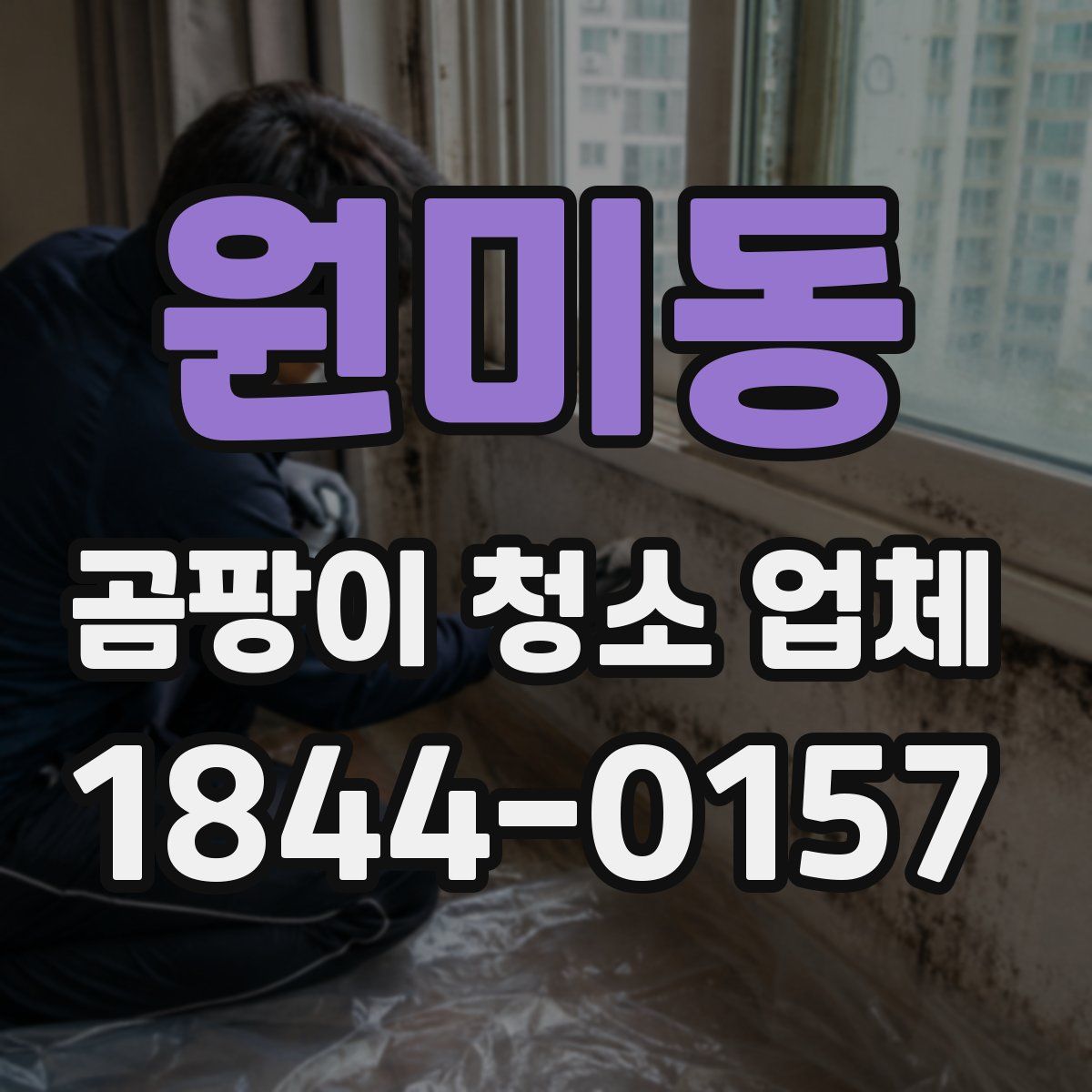 원미동 곰팡이 청소 업체