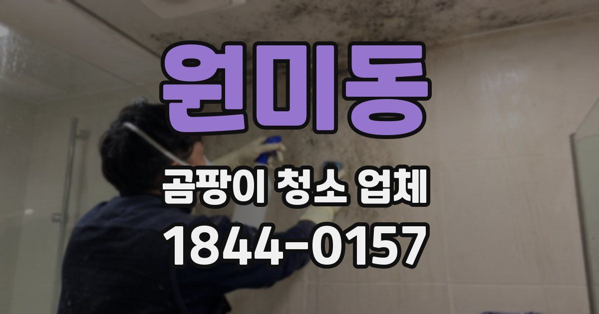 원미동 곰팡이 청소 업체