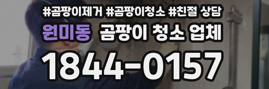 원미동 곰팡이 청소 업체