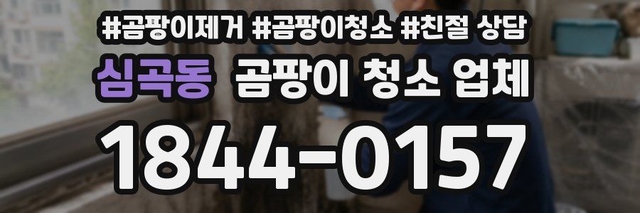 심곡동 곰팡이 청소 업체