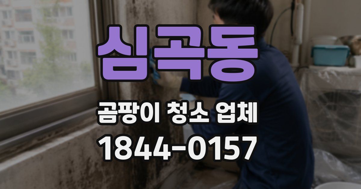 심곡동 곰팡이 청소 업체