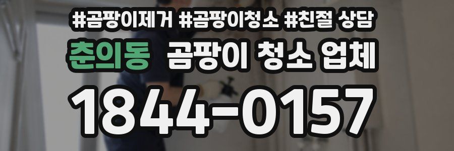 춘의동 곰팡이 청소 업체