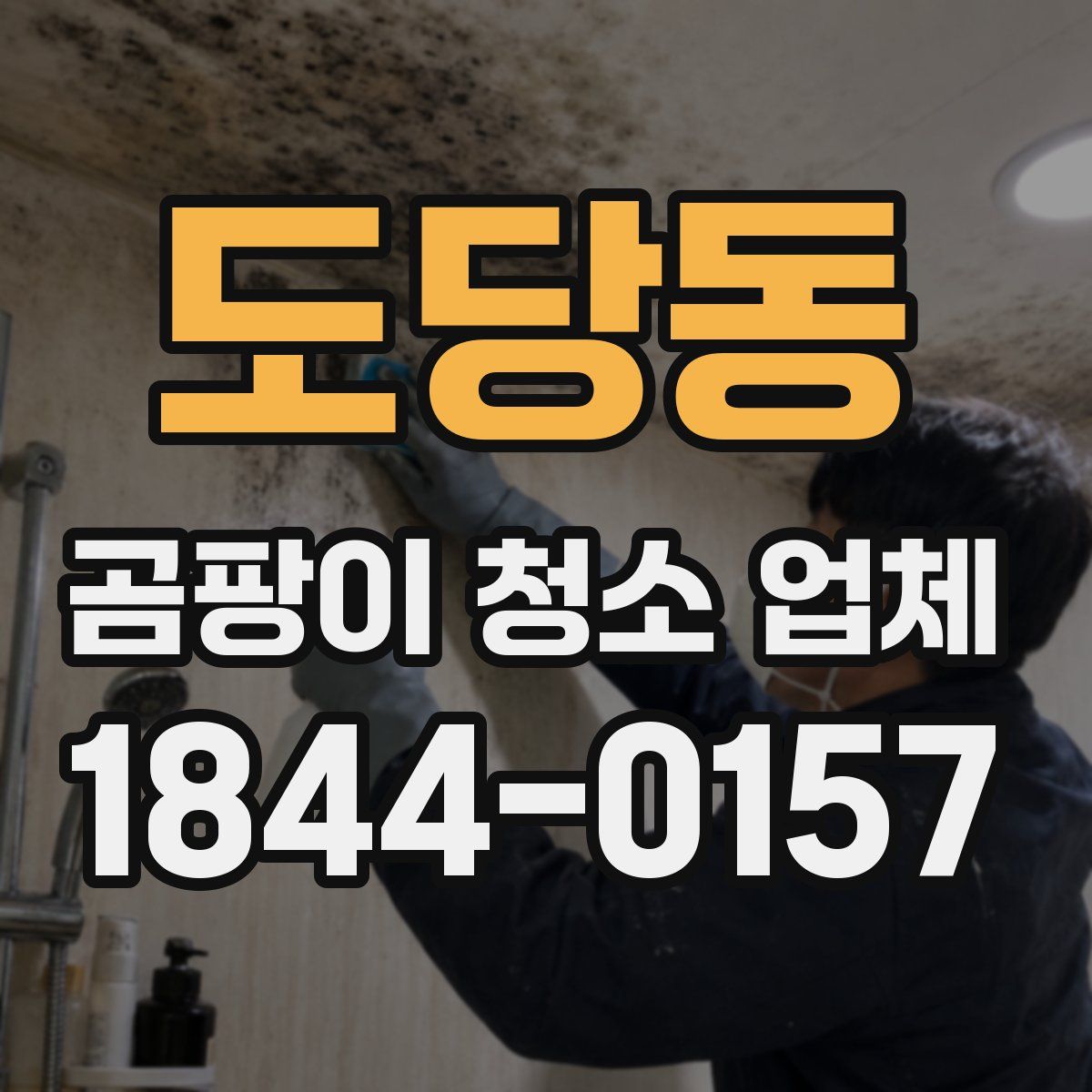 도당동 곰팡이 청소 업체