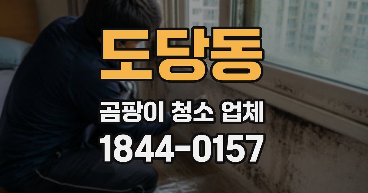 도당동 곰팡이 청소 업체