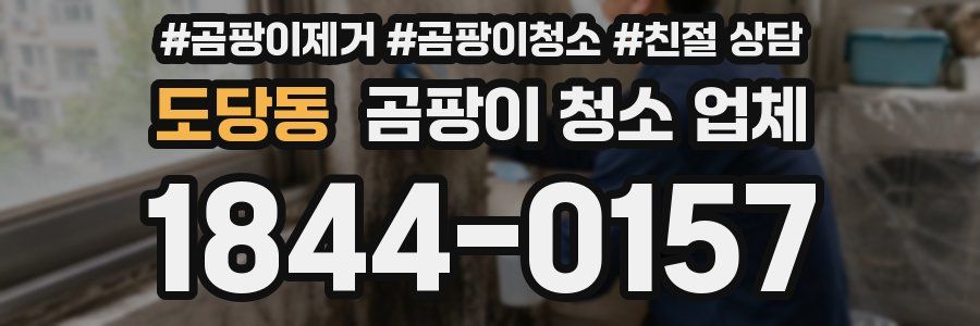 도당동 곰팡이 청소 업체