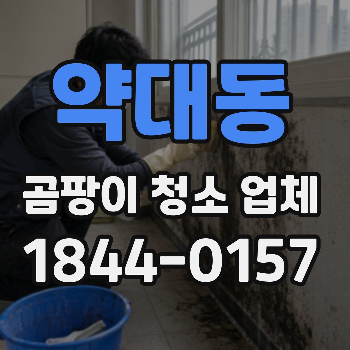 약대동 곰팡이 청소 업체