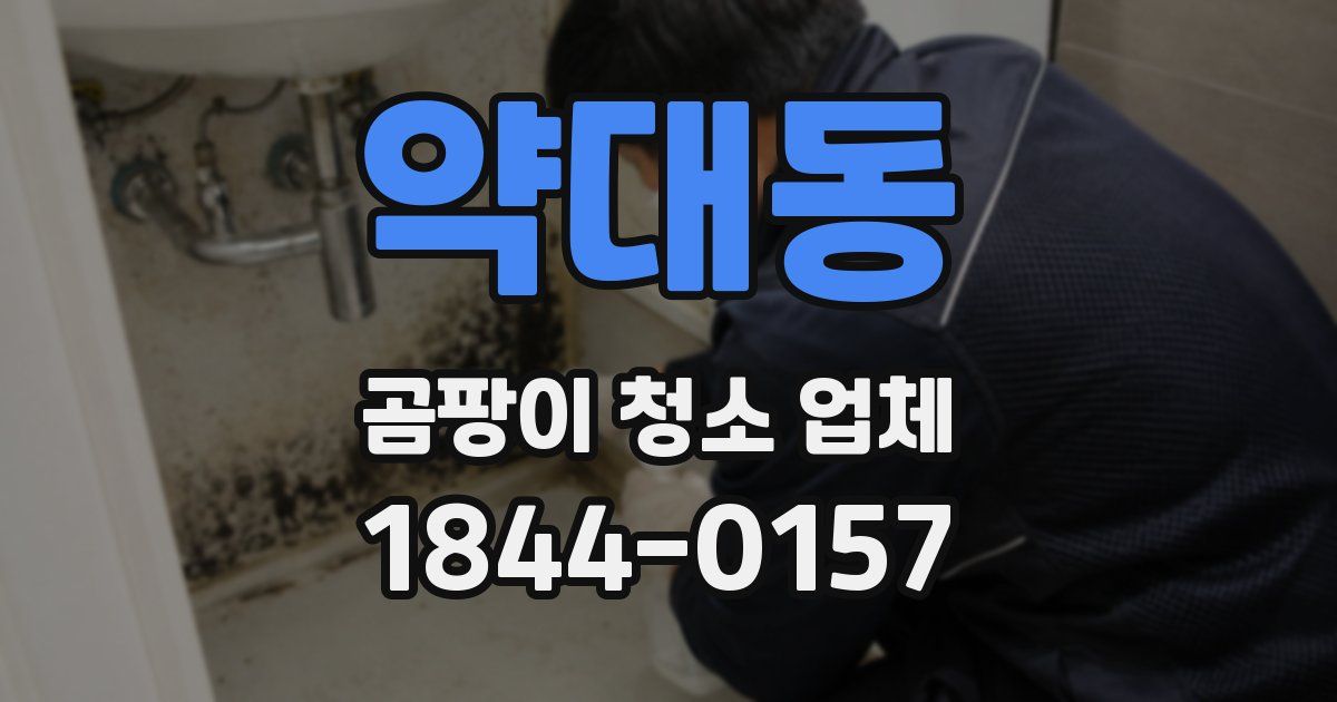 약대동 곰팡이 청소 업체