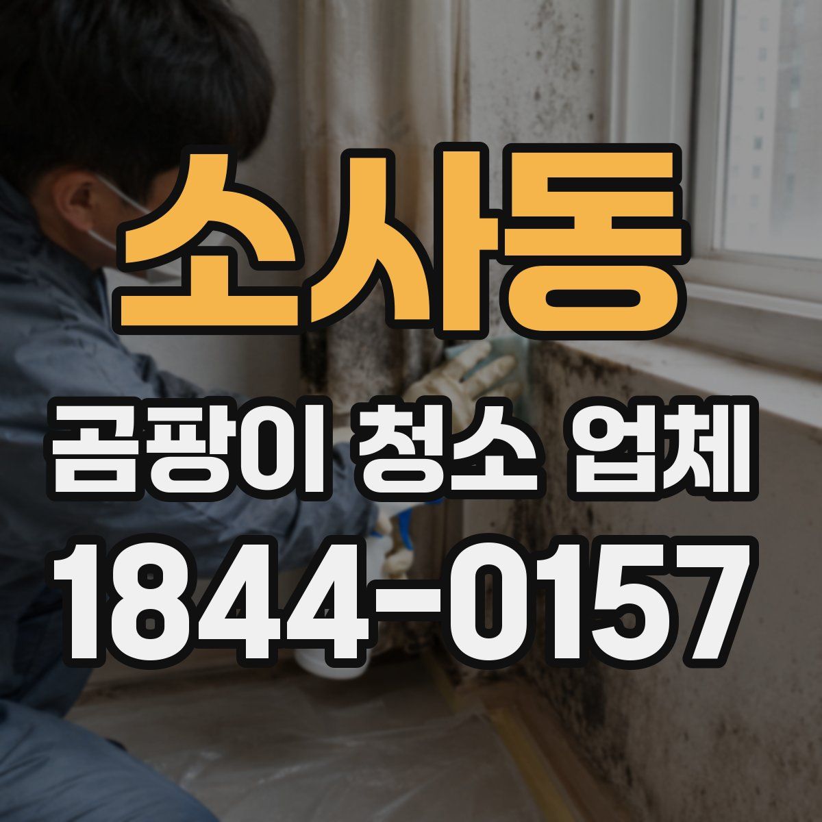 소사동 곰팡이 청소 업체
