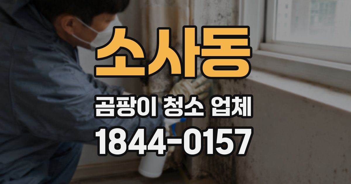 소사동 곰팡이 청소 업체