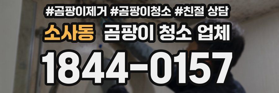 소사동 곰팡이 청소 업체