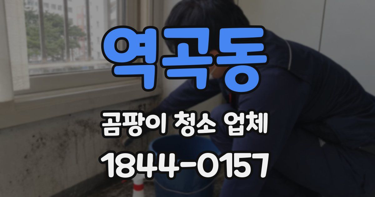 역곡동 곰팡이 청소 업체
