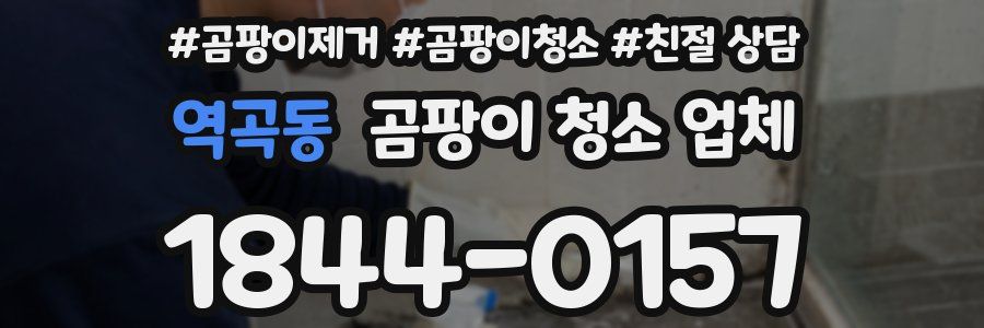 역곡동 곰팡이 청소 업체